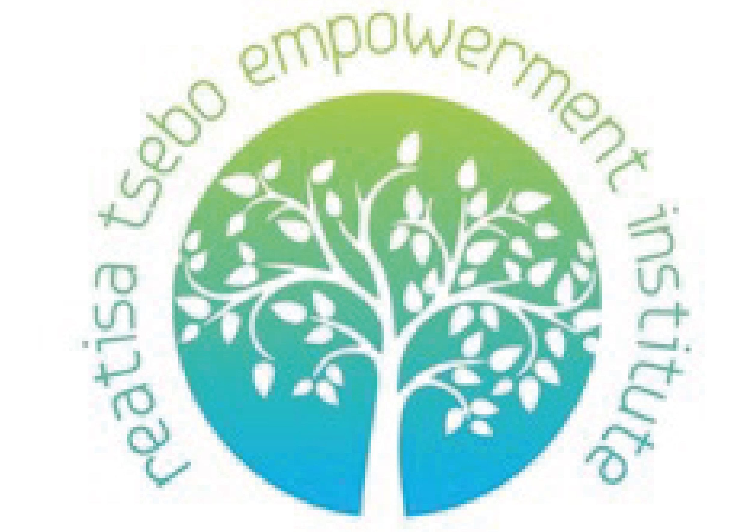 Reatisa tsebo logo